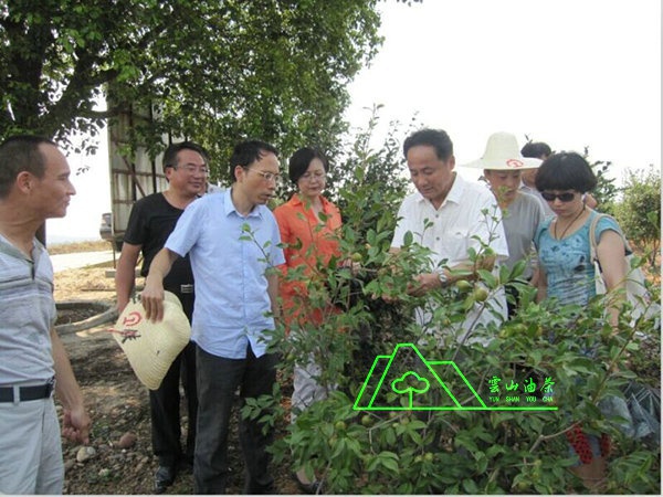 江西省油茶辦主任、工程師孫勇、省科技廳農(nóng)村工作處副處長、副調(diào)研員尹伊等基地指導(dǎo)工作